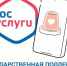 На портале Госуслуги можно получить господдержку при чрезвычайных ситуациях - Островский муниципальный район
