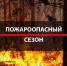 Начало пожароопасного сезона 2026 года - Островский муниципальный район