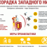 Вирус лихорадки Западного Нила — возбудитель острого, не до конца изученного вирусного заболевания. - Островский муниципальный район